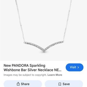 Pandora Wish Bone Bar Silver Necklace